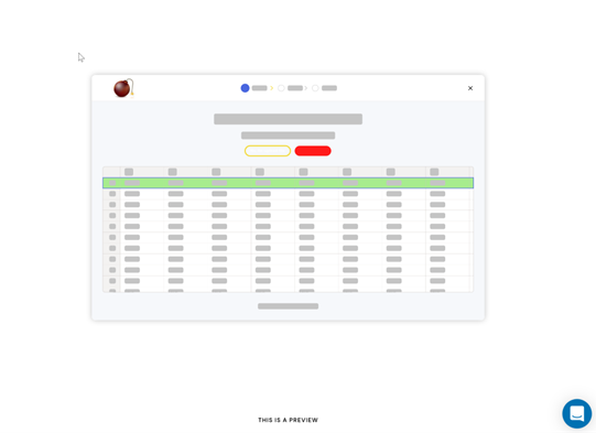Preview look of your importer workspace