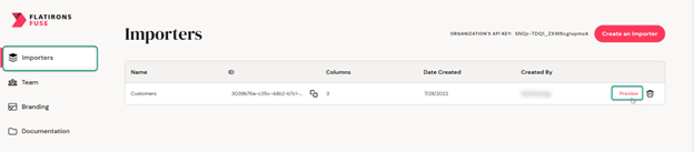 Preview choose importer